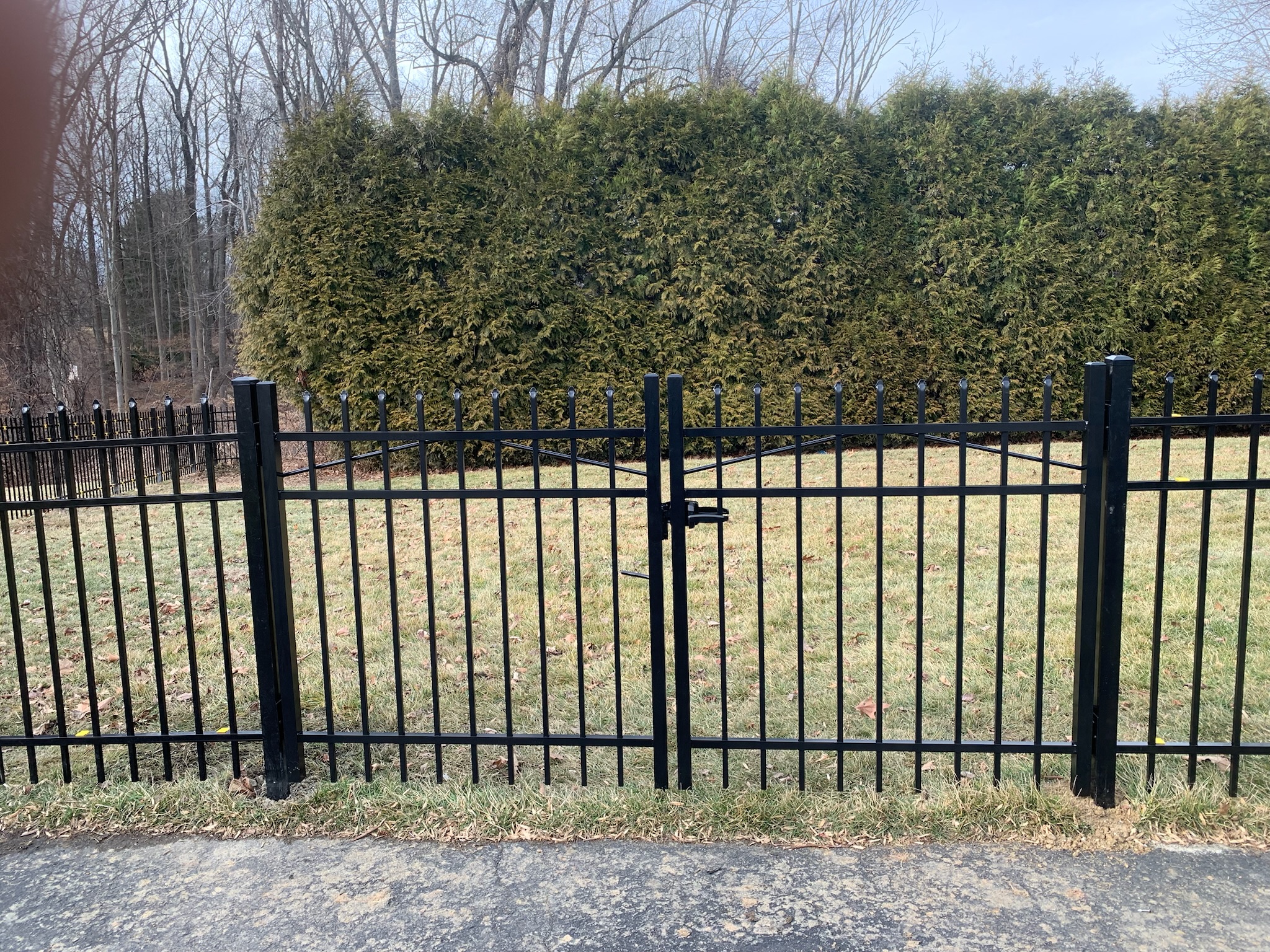 Aluminum fence photo 16