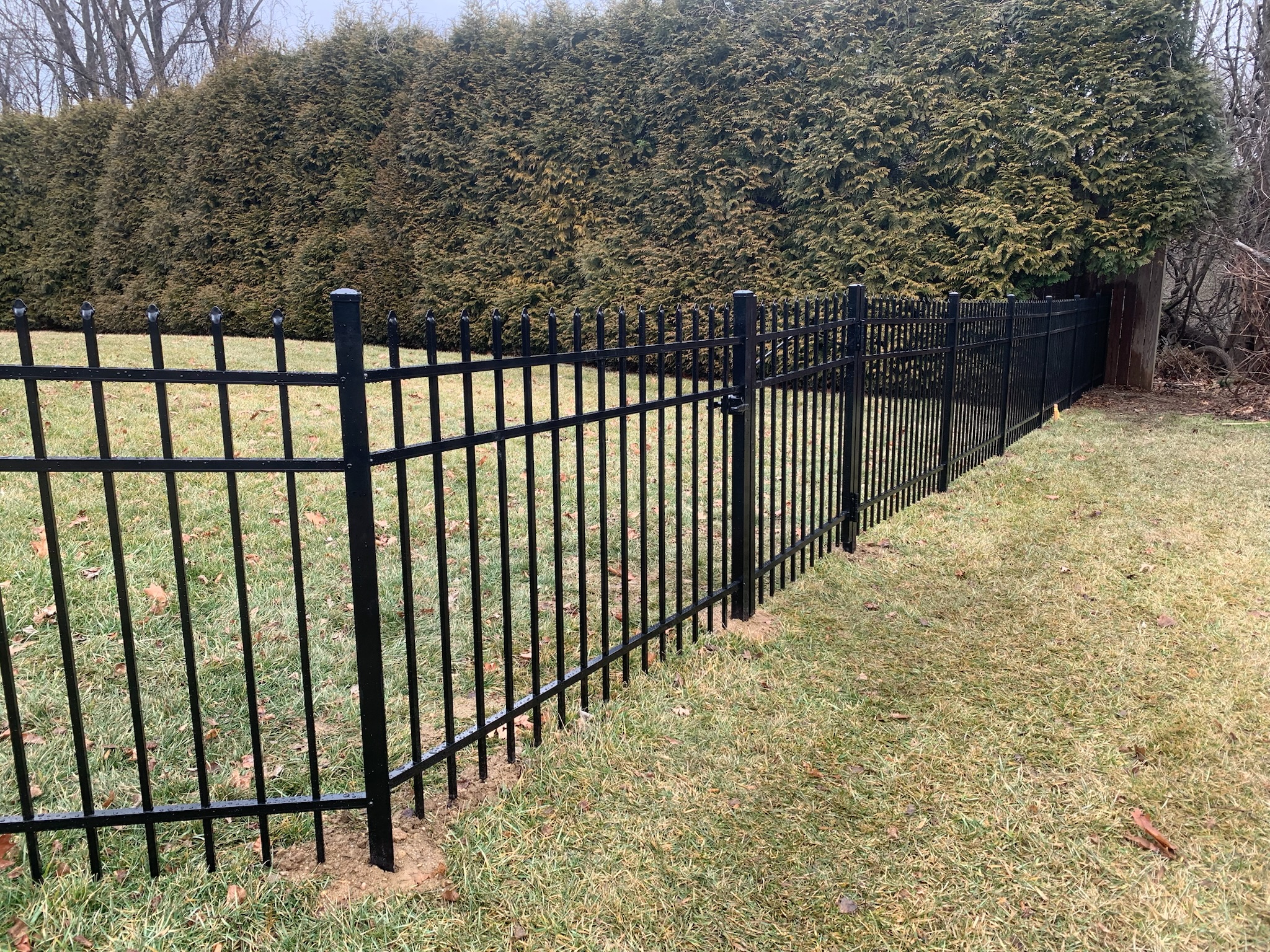 Aluminum fence photo 8